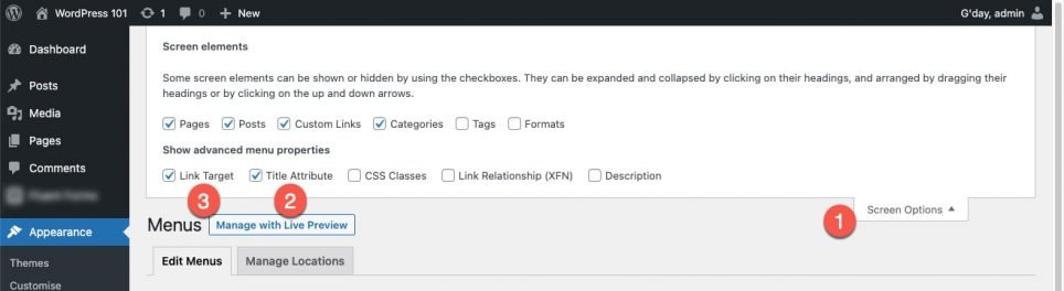 wordpress-click on Screen Options and enable Show-advanced-menu-properties